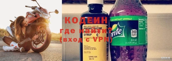 дживик Белокуриха