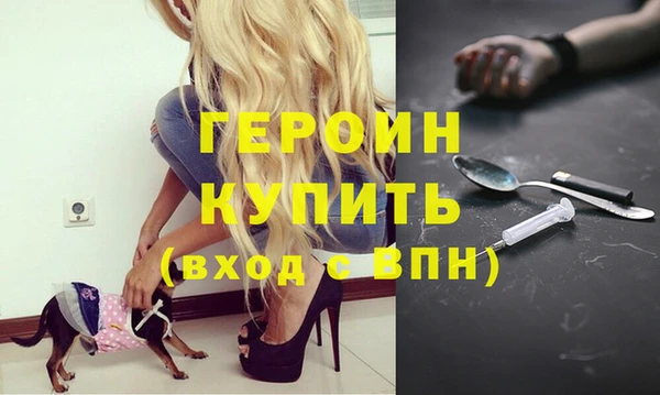 дживик Белокуриха