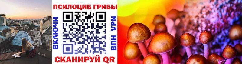 где продают Красавино Галлюциногенные грибы Magic Shrooms