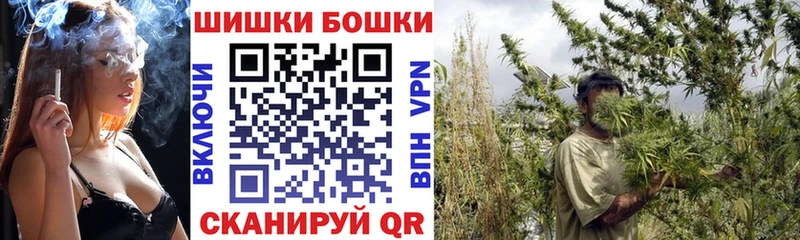 продажа наркотиков  Красавино  Бошки марихуана Ganja 